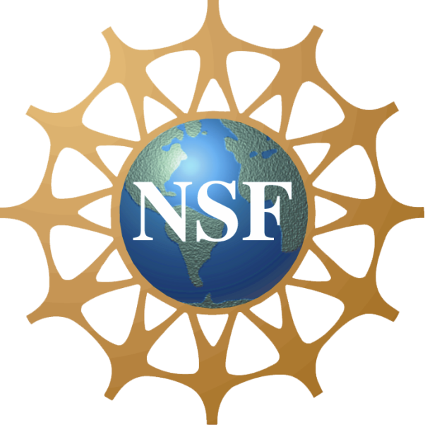 NSF logo