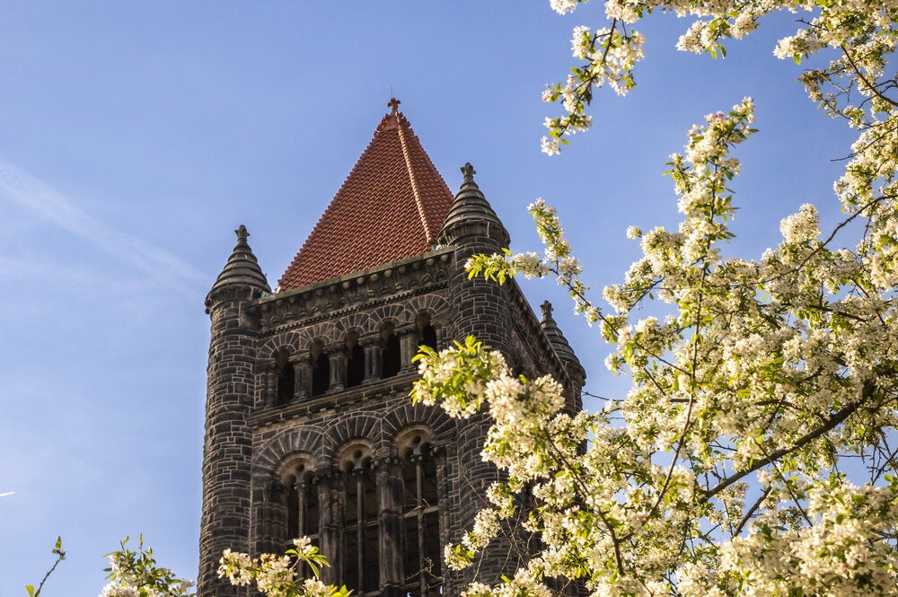 Altgeld Hall in spring against blue sky with flowering tree in foreground.