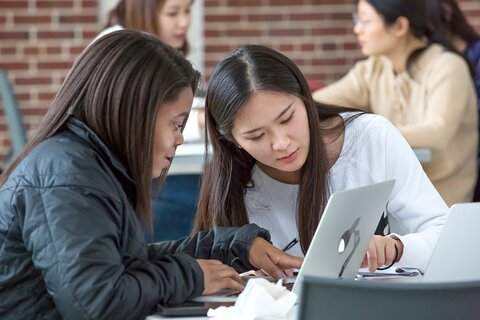 Two students study for exam