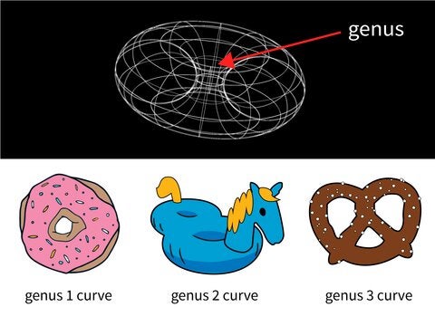 Top half: A wireframe of a torus, or donut-shaped object. The center hole of the shape is labeled "genus." Bottom half: A donut is labeled "genus 1 curve." A pool floating device with two holes is labeled "genus 2 curve." A pretzel is labeled "genus 3 curve."