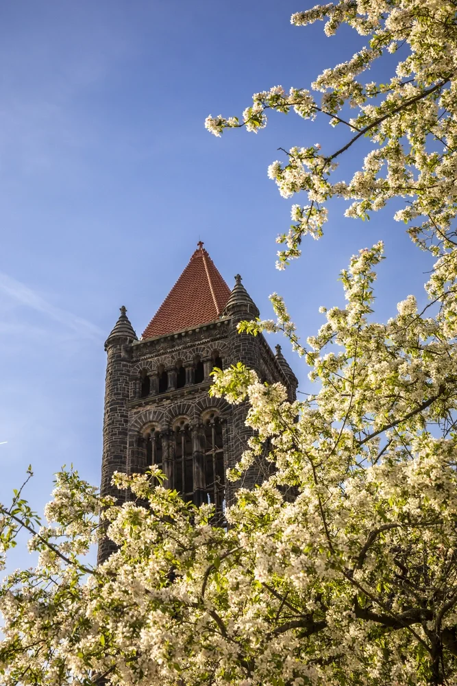 Altgeld Hall in spring against blue sky with flowering tree in foreground.