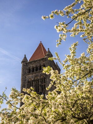 Altgeld Hall in spring against blue sky with flowering tree in foreground.